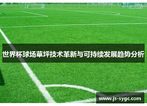 世界杯球场草坪技术革新与可持续发展趋势分析