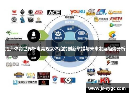 提升体育世界杯电竞观众体验的创新举措与未来发展趋势分析