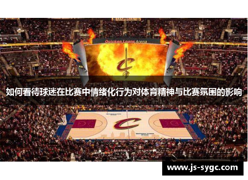 如何看待球迷在比赛中情绪化行为对体育精神与比赛氛围的影响