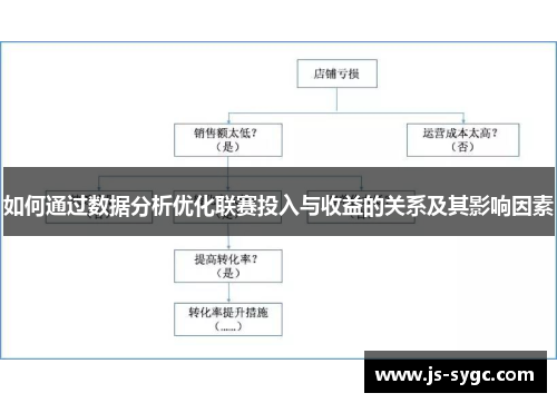 如何通过数据分析优化联赛投入与收益的关系及其影响因素