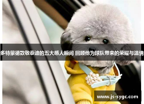 多特蒙德致敬泰迪的五大感人瞬间 回顾他为球队带来的荣耀与温情