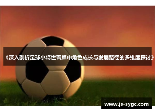 《深入剖析足球小将世青篇中角色成长与发展路径的多维度探讨》